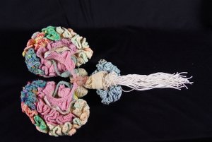 knitted brain with zippered corpus collosum